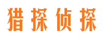 城西市侦探调查公司